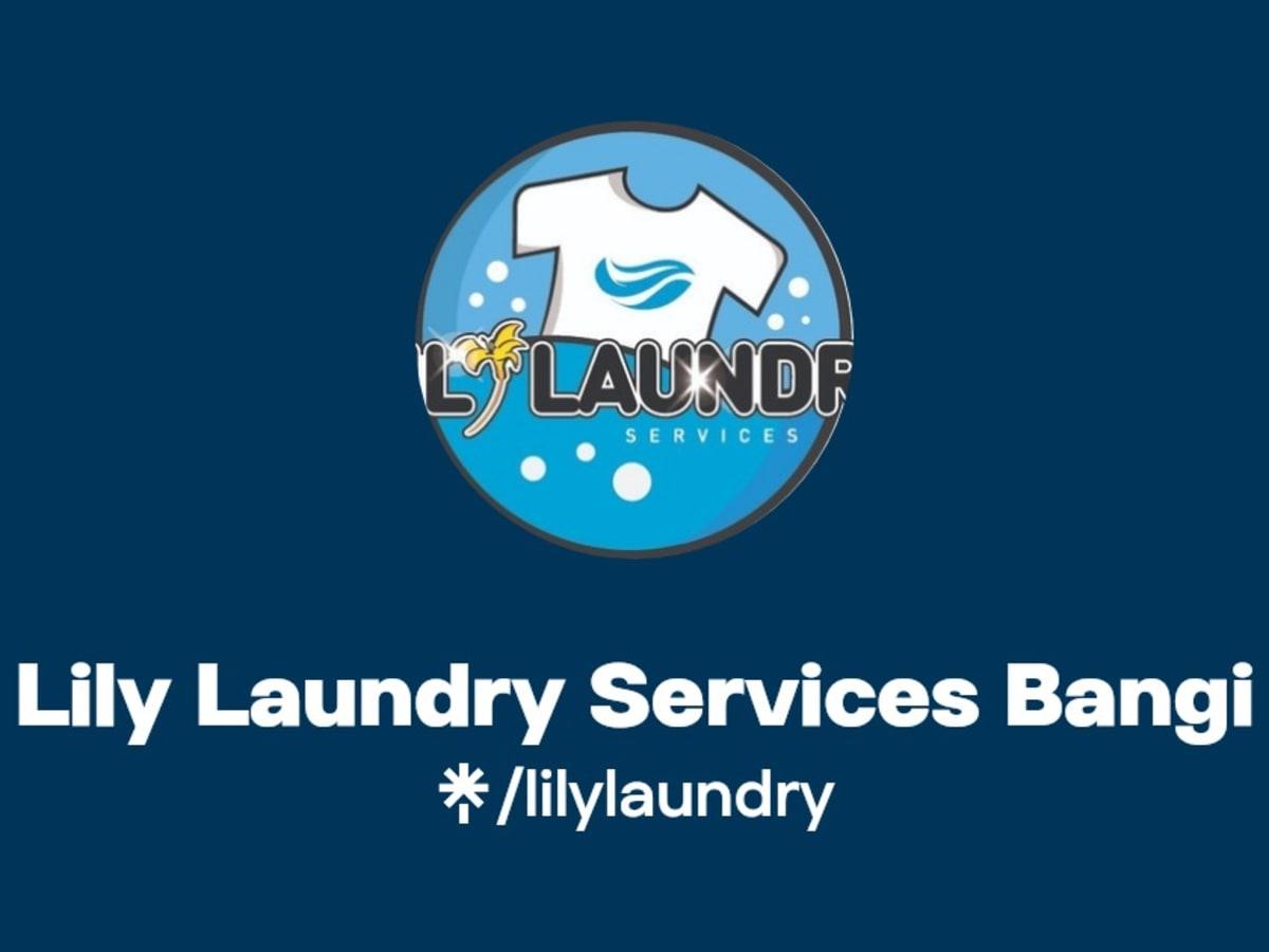 Lily Laundry - Pick & Delivery, Ironing, Dry Cleaning & Washing Service Bangi, Kajang laundry shop in Kajang