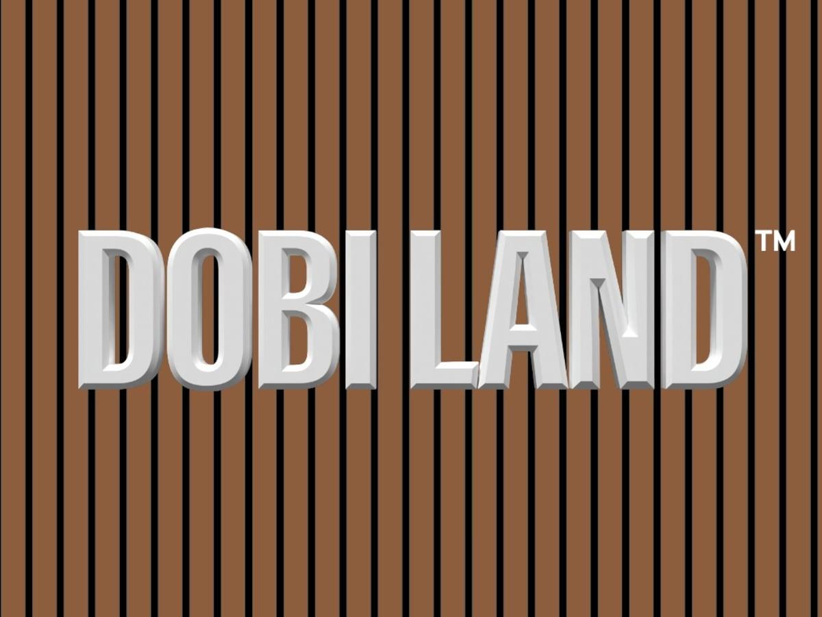 Dobi Land Dry Cleaning laundry shop in Puchong
